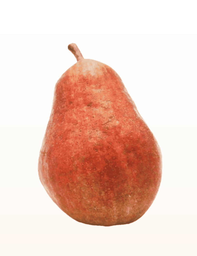 Poire Carmine
